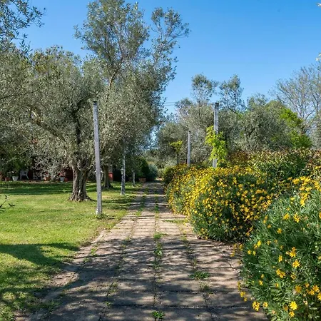 7 Bedroom Amazing In * Montalto di Castro
