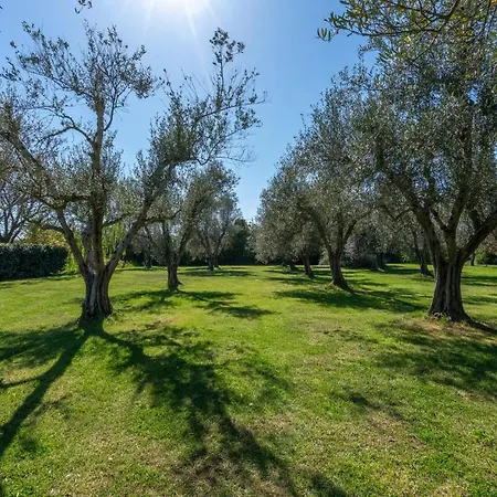 7 Bedroom Amazing In Holiday home Montalto di Castro